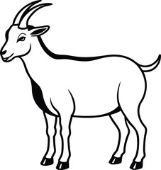 goat isolated on white