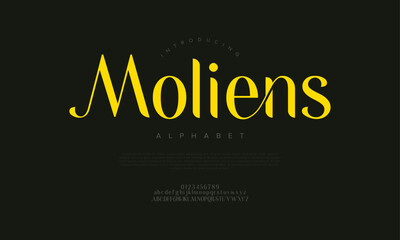 Elegant sans serif font with modern strokes and luxury appeal, ideal for branding and editorial