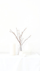 Obraz premium Minimalist Interior Design: Artistic Decor with Natural Elements and Botanicals