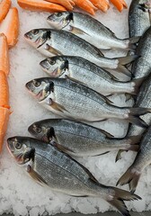 Obraz premium Silver Scales on Ice AI Generated