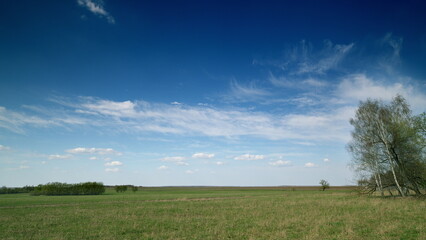 A Serene Countryside Landscape Under a Bright and Clear Sky Filled with White Clouds