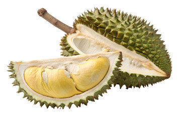 Obraz premium A whole durian fruit with spiky green shell is split open, revealing its creamy yellow flesh and strong tropical aroma.