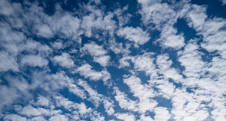 Background with cloudy skies. Cumulus clouds in sky. Blue cloudscape. Sky background. Cloudy sky...