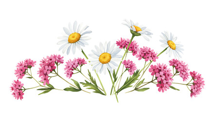 Obraz premium Daisies and Pink Flowers Arrangement on Transparent Background