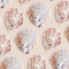 Pastel Colored Seashells Minimal Pattern on beige, oceanic and sea life decor, aesthetic summer...