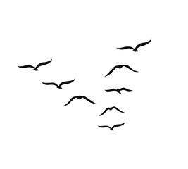 A flock of swallows silhouetted against the sky in graceful flight. Wild Birds Unlimited: your source for bird food, feeders, and expert feeding advice.