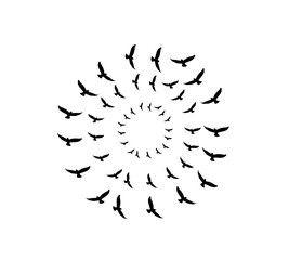 A flock of swallows silhouetted against the sky in graceful flight. Wild Birds Unlimited: your source for bird food, feeders, and expert feeding advice.