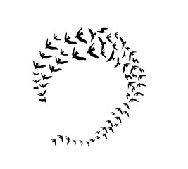A flock of swallows silhouetted against the sky in graceful flight. Wild Birds Unlimited: your source for bird food, feeders, and expert feeding advice.
