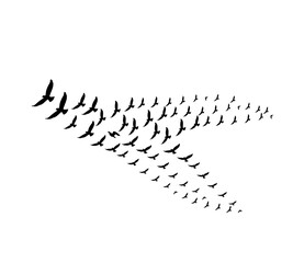 A flock of swallows silhouetted against the sky in graceful flight. Wild Birds Unlimited: your source for bird food, feeders, and expert feeding advice.