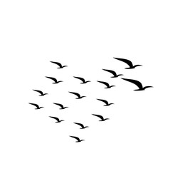 A flock of swallows silhouetted against the sky in graceful flight. Wild Birds Unlimited: your source for bird food, feeders, and expert feeding advice.