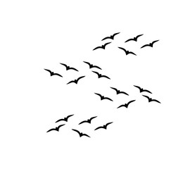 A flock of swallows silhouetted against the sky in graceful flight. Wild Birds Unlimited: your source for bird food, feeders, and expert feeding advice.