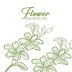Elegant Colorful Floral Background Design with Vivid Blooms and Lush Greenery
