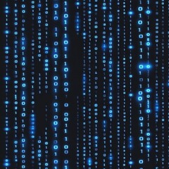 Binary Code Flow