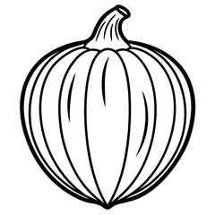 Acorn Squash line art vector