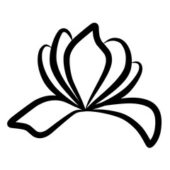 Doodle Flower, Hand Drawn Flower Line Art