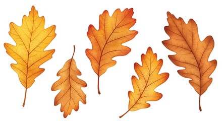 Fototapeta premium Golden Autumn Oak Leaves: Watercolor Illustration of Fall Foliage