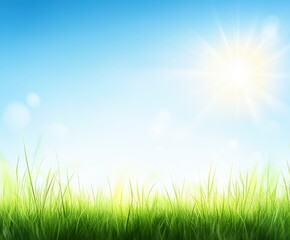 Obraz premium Lush green grass under a bright, sunny sky