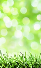 Obraz premium Lush green grass with soft, out-of-focus springtime background
