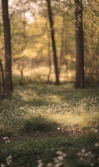 Sunlit Forest Path