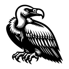 Vulture Portrait