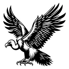Vulture Portrait