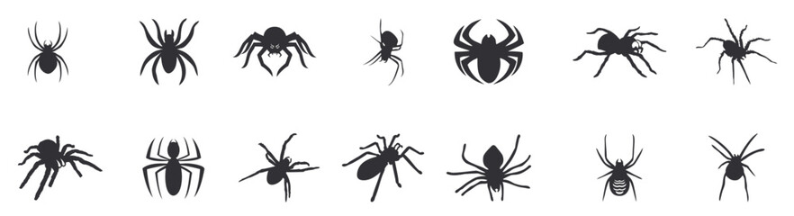 Set of spider silhouette isolated on a white background