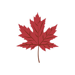  Red Maple Leaf Illustration 