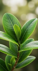 Obraz premium Emerald Embrace AI Generated