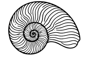 Obraz premium Intricate Ammonite Fossil: A Spiral Symbol of Ancient Marine Life and Natural Beauty