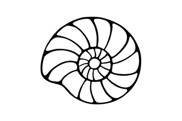 Obraz premium Intricate Ammonite Fossil: A Spiral Symbol of Ancient Marine Life and Natural Beauty