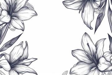 vector line style hand drawn abstract botanical flower wedding banner