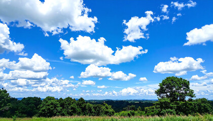 青空と雲と森の田舎の景色。アニメーション風のイラスト。Rural landscape with blue sky, clouds and forest. Animation style illustration.