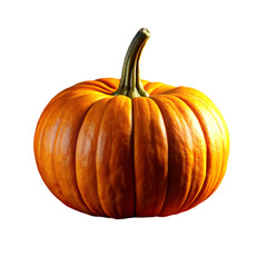 Perfect Pumpkin: Fresh, Orange, Autumn Gourd