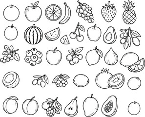 Realistic Fruits Line Art Set