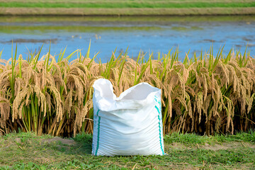 White fertilizer bag on green grass with lush paddy field and blue sky in the background.
