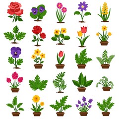 Blooming Collection