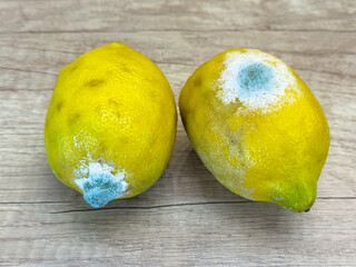 Two yellow lemons with visible mold spots on a wooden surface, showing natural decay and fungal...