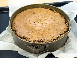 Freshly baked sponge cake in a round springform pan with parchment paper, just taken out of the oven, resting on a baking tray.