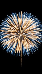 A burst of fireworks in blue and gold against a black background