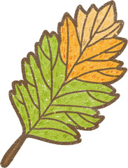 green autumn leaves isolated 