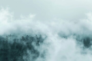 Fototapeta premium vector realistic fog background
