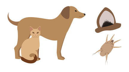 Dog and cat having ear mites parasite