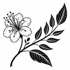 black and white floral design