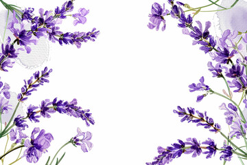 Fragrant purple lavender sprigs frame a clean white space. Perfect for text