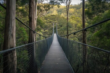 Obraz premium Explore the stunning hanging bridge nature trail in Australia surrounded by lush greenery, Hanging bridge nature trail in Australia Walk path above forest