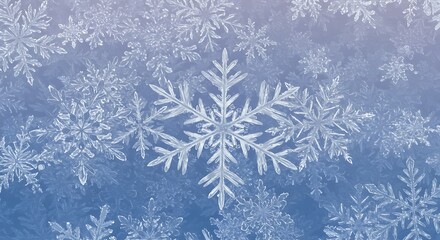 Frozen Beauty Delicate Ice Crystals Winter Wonderland