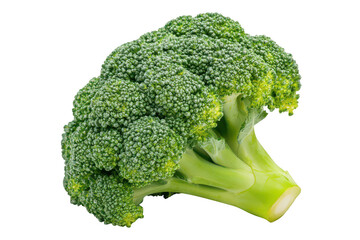 Close up view of a single head of fresh green broccoli on dark setting on transparent background png