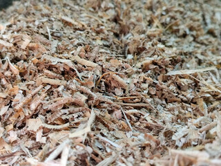 Coarse sawdust from wood chips.