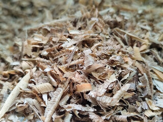 Coarse sawdust from wood chips.