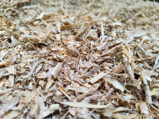 Coarse sawdust from wood chips.